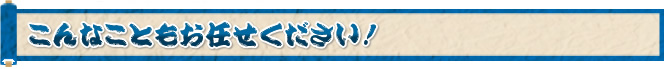 こんなこともお任せください！